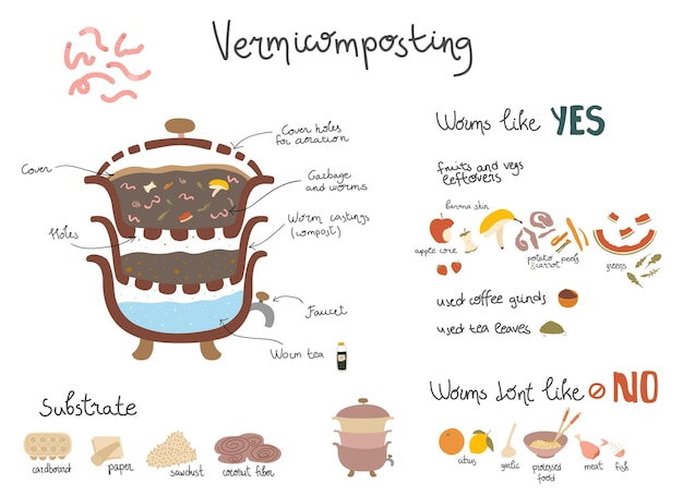 Step by step cooking illustration
